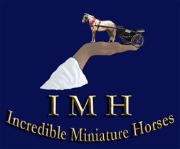 I M H  :  Incredible Miniature Horses