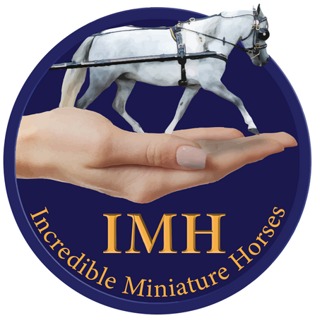 IMH logo per eind 2022