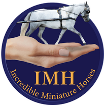 I M H  :  Incredible Miniature Horses
